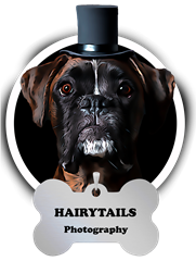 HairyTails logo