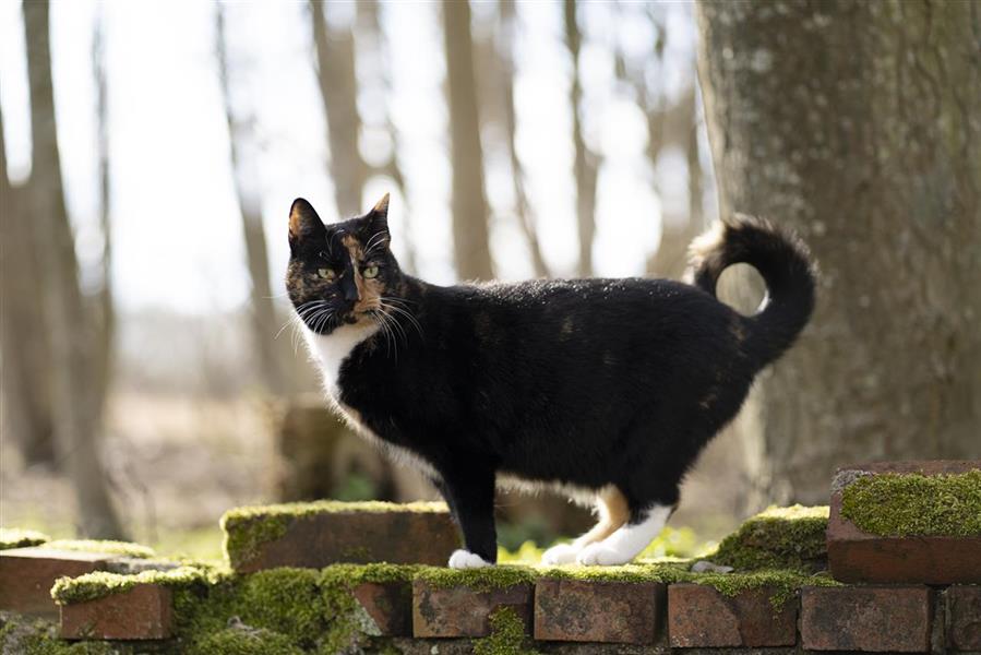 OnLocation-HairyTails-Siri-4318