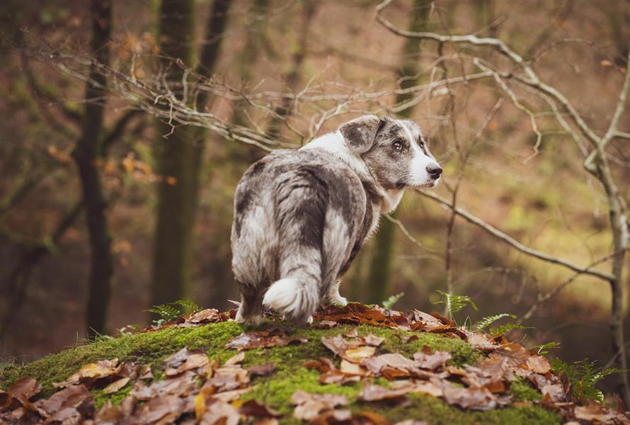 OnLocation-Luna-HairyTails-7363-Edit