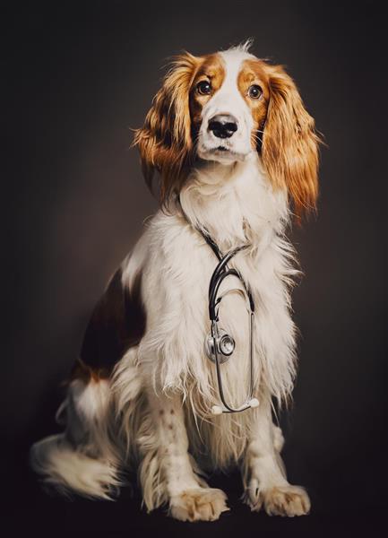 MigSomDig-Leica-HairyTails-7653-Edit
